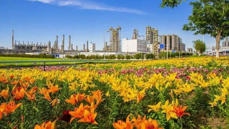 涂料流平剂与消泡剂区别对比